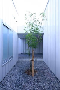 さいとう整形外科8