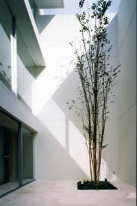 Y-HOUSE 4
